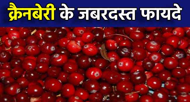 cranberry-in-hindi-meaning